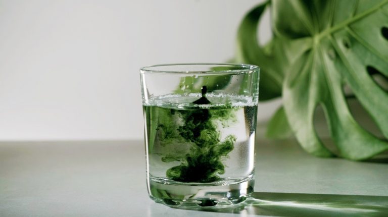 liquid chlorophyll | 5 Proven Health Benefits Of Liquid Chlorophyll