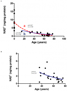 Correlation between NAD+ levels and Age in (A) Males (B) Female