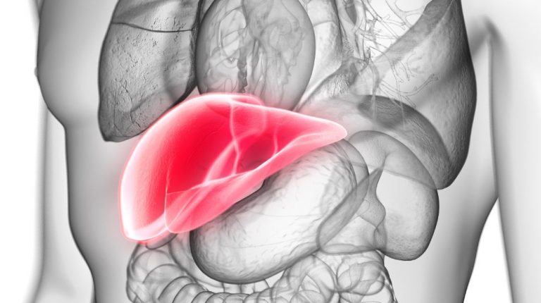 3d-rendered-medically-accurate-illustration-of-a-m…ning-Signs-Your-Liver-Is-Struggling_ss_feature | 10 Warning Signs Your Liver Is Struggling & What You Can Do About It