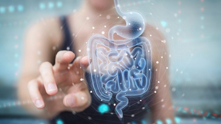 using-digital-x-ray-of-human-gut_5-Genius-Ways-to-Restore-Gut-Health_ss_feature | 5 Genius Ways to Restore Gut Health