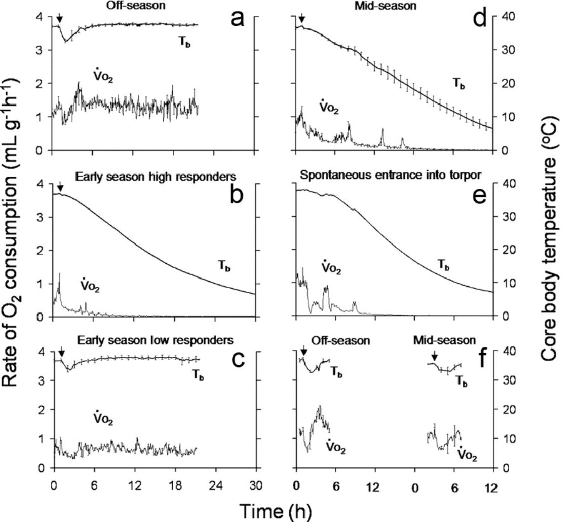 Sensitivity to the torpor-inducing effects of the adenosine receptor agonist CHA during hibernation season (Vo2: oxygen consumption; Tb: core body temperature). Source: JNeurosci the Journal of Neuroscience.