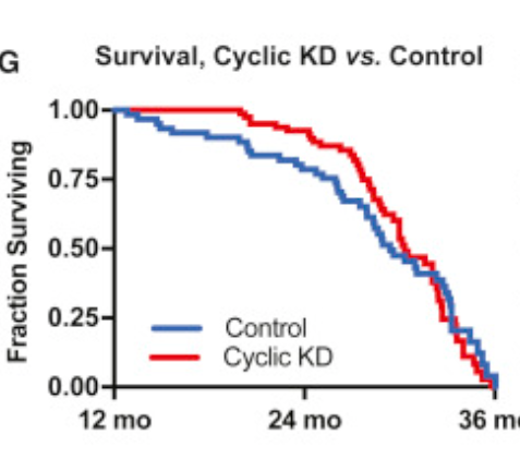Survival rate trajectories between cyclic ketogenic diet and control. Source: Cell Metabolism.