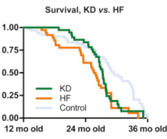 Survival rate trajectories between continuous ketogenic diet and control. Source: Cell Metabolism.